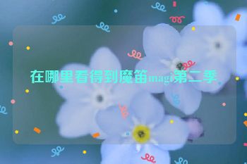 在哪里看得到魔笛magi第二季