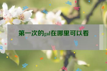 第一次的gal在哪里可以看