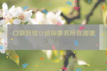 口袋妖怪XY侦探事务所在哪里