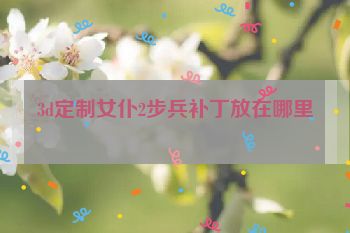 3d定制女仆2步兵补丁放在哪里