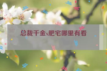 总裁千金x肥宅哪里有看