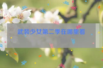 武装少女第二季在哪里看