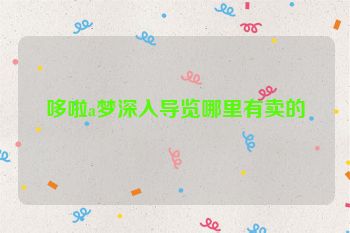 哆啦a梦深入导览哪里有卖的