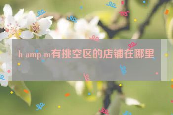 h amp m有挑空区的店铺在哪里
