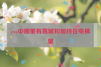 eva中哪里有葛城和加持在电梯里