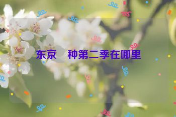 东京飱种第二季在哪里