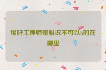 爆肝工程师蜜雅说不可以h的在哪里