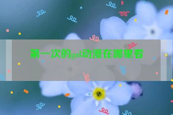 第一次的gal动漫在哪里看