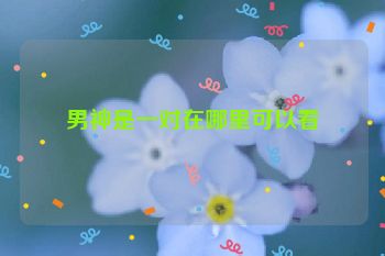 男神是一对在哪里可以看