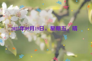 2025年09月19日，星期五，晴  