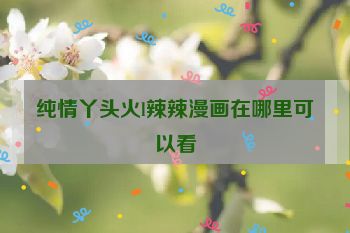 纯情丫头火l辣辣漫画在哪里可以看