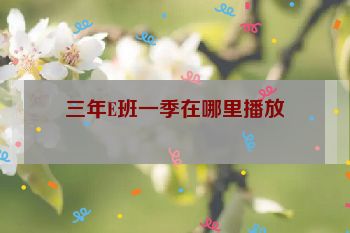 三年E班一季在哪里播放
