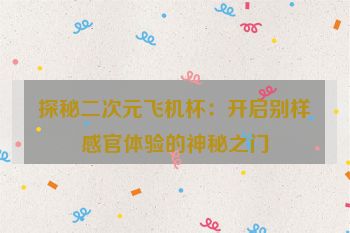 探秘二次元飞机杯：开启别样感官体验的神秘之门