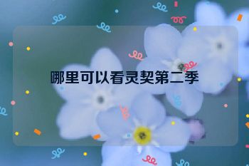 哪里可以看灵契第二季