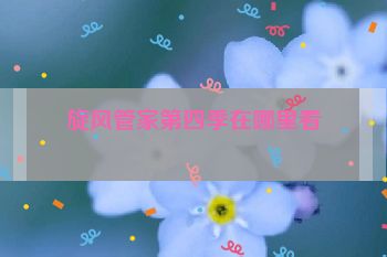 旋风管家第四季在哪里看